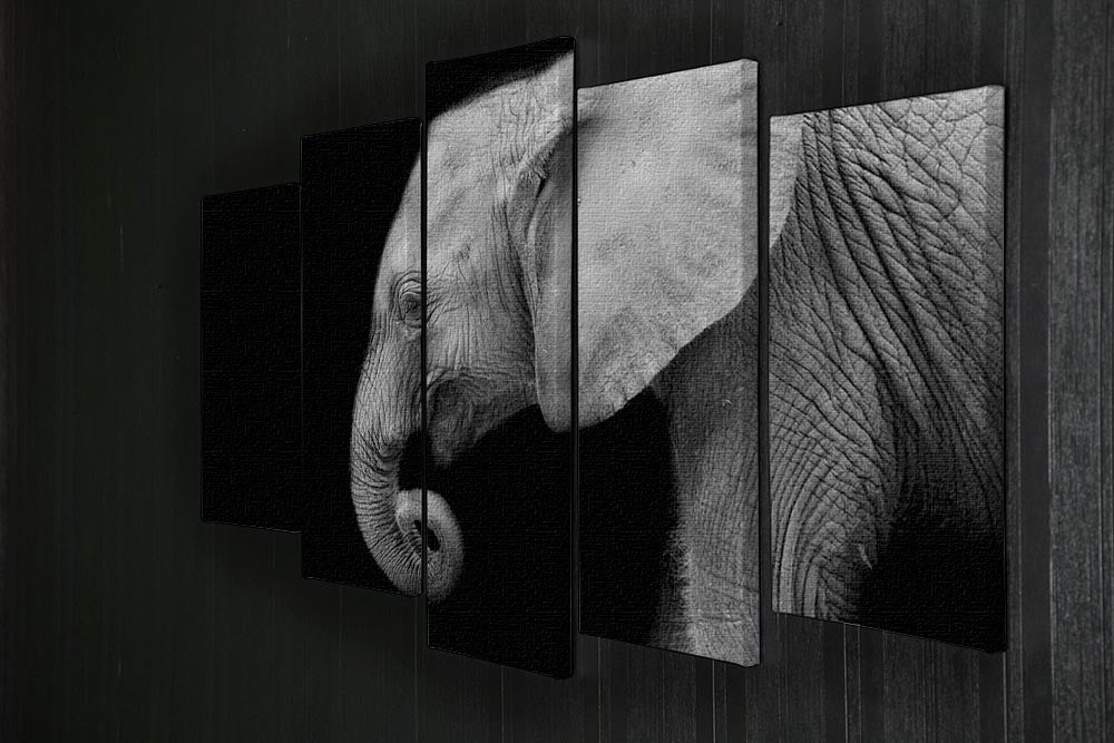 Baby elephant 5 Split Panel Canvas - Canvas Art Rocks - 2