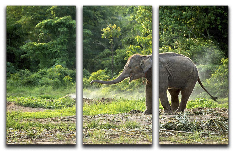 Baby elephant enjoy in open zoo 3 Split Panel Canvas Print - Canvas Art Rocks - 1