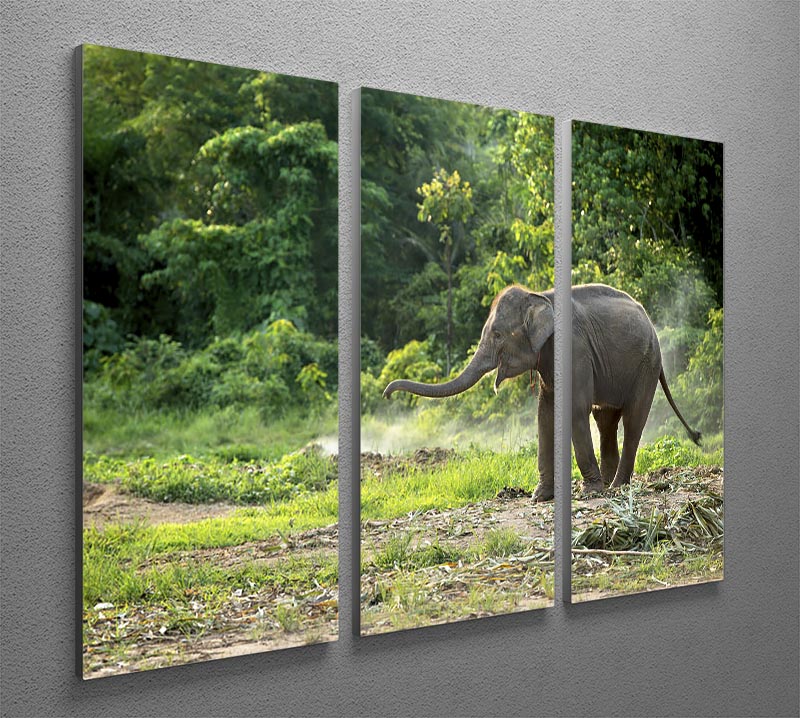 Baby elephant enjoy in open zoo 3 Split Panel Canvas Print - Canvas Art Rocks - 2