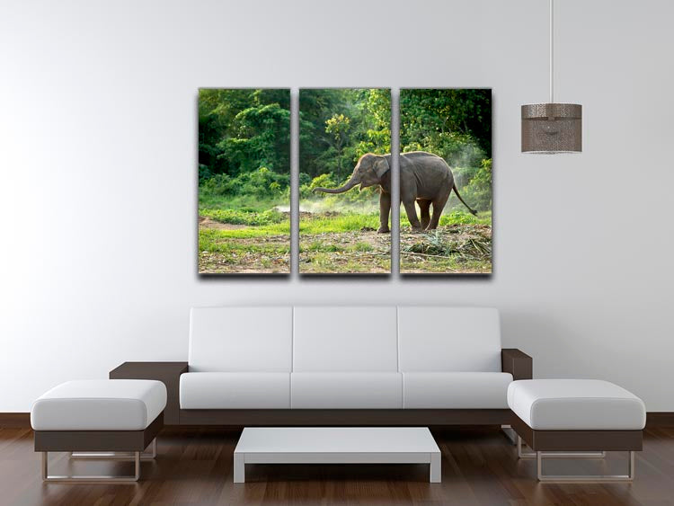 Baby elephant enjoy in open zoo 3 Split Panel Canvas Print - Canvas Art Rocks - 3