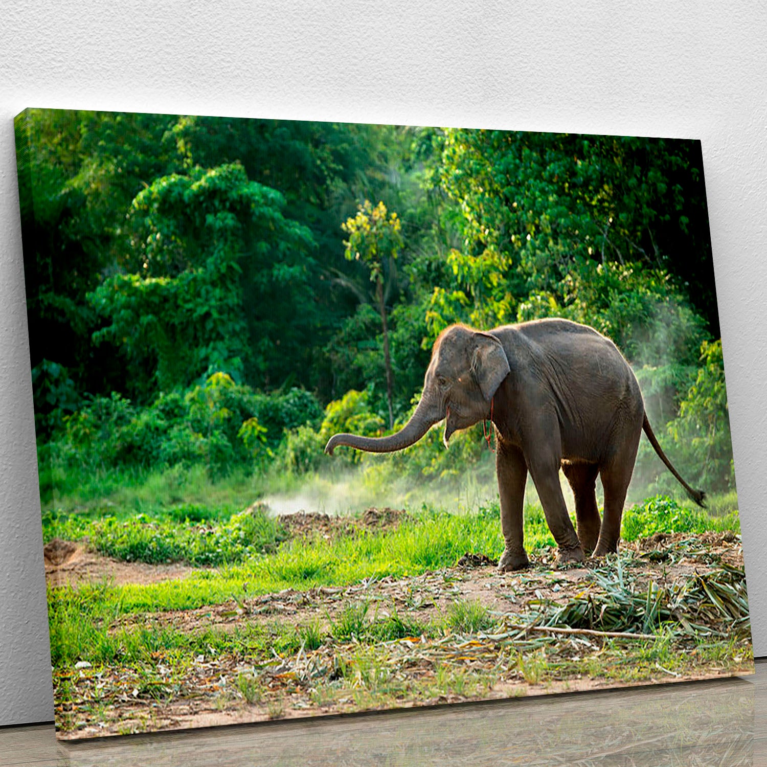 Baby elephant enjoy in open zoo Canvas Print or Poster - Canvas Art Rocks - 1