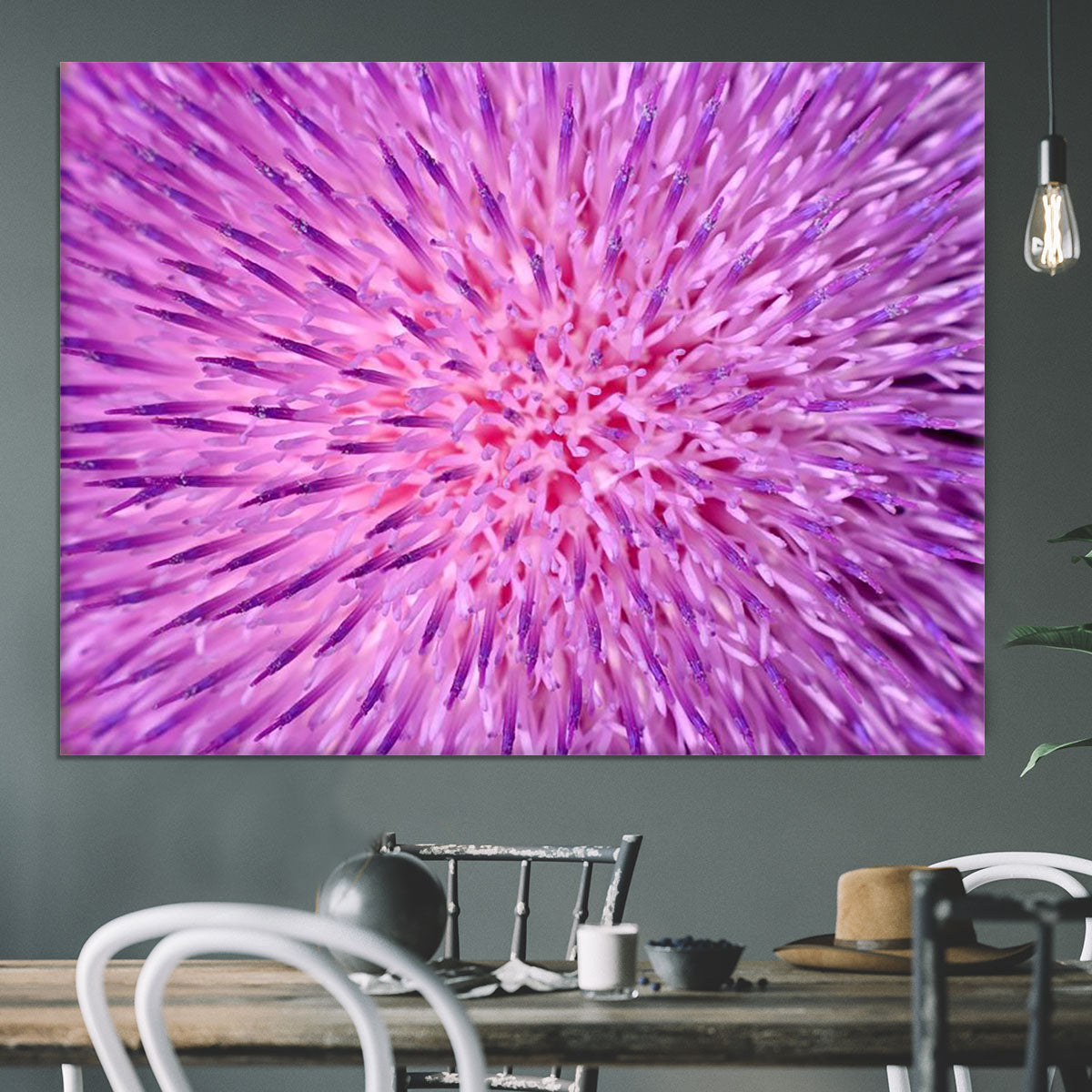 Background of thistle flower Canvas Print or Poster - Canvas Art Rocks - 3