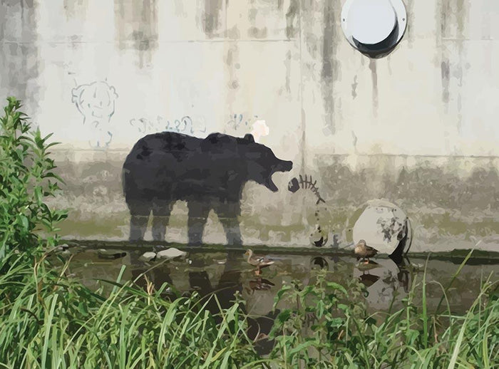Banksy Bear Wall Mural Wallpaper