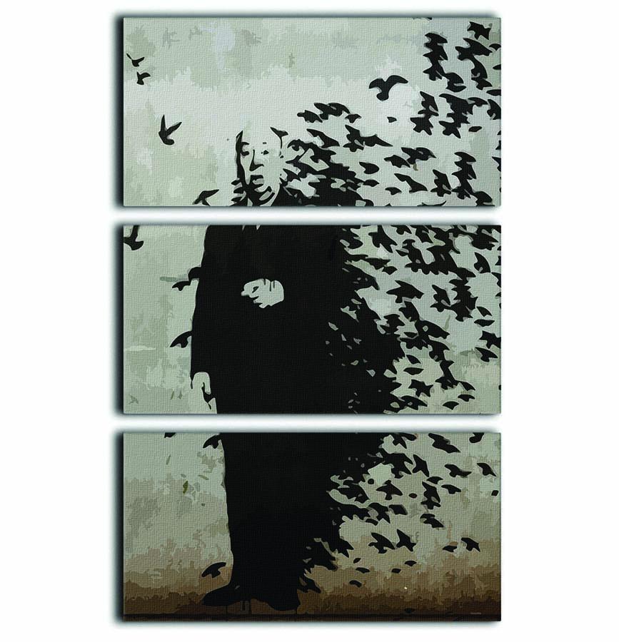 Banksy Hitchcock Birds 3 Split Panel Canvas Print - Canvas Art Rocks - 1