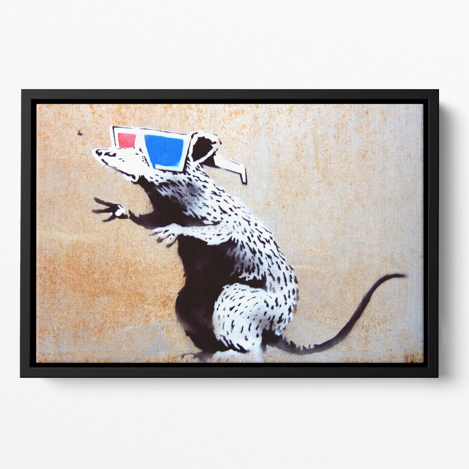 Banksy Rat Wearing 3D Glasses Floating Framed Canvas