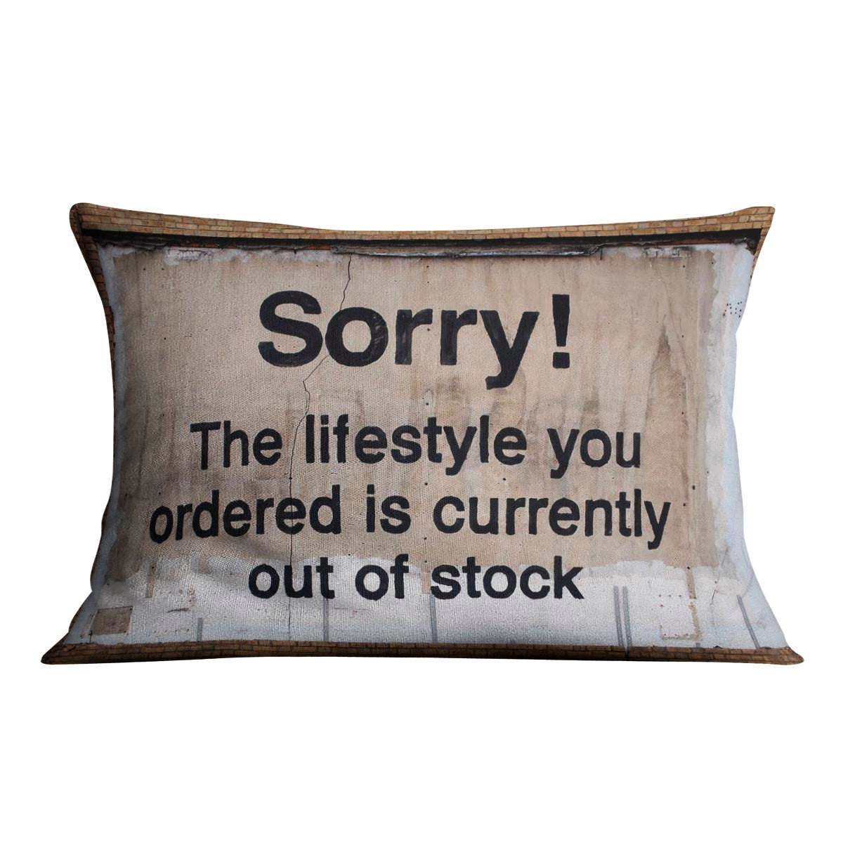 Banksy The Lifestyle You Ordered Cushion