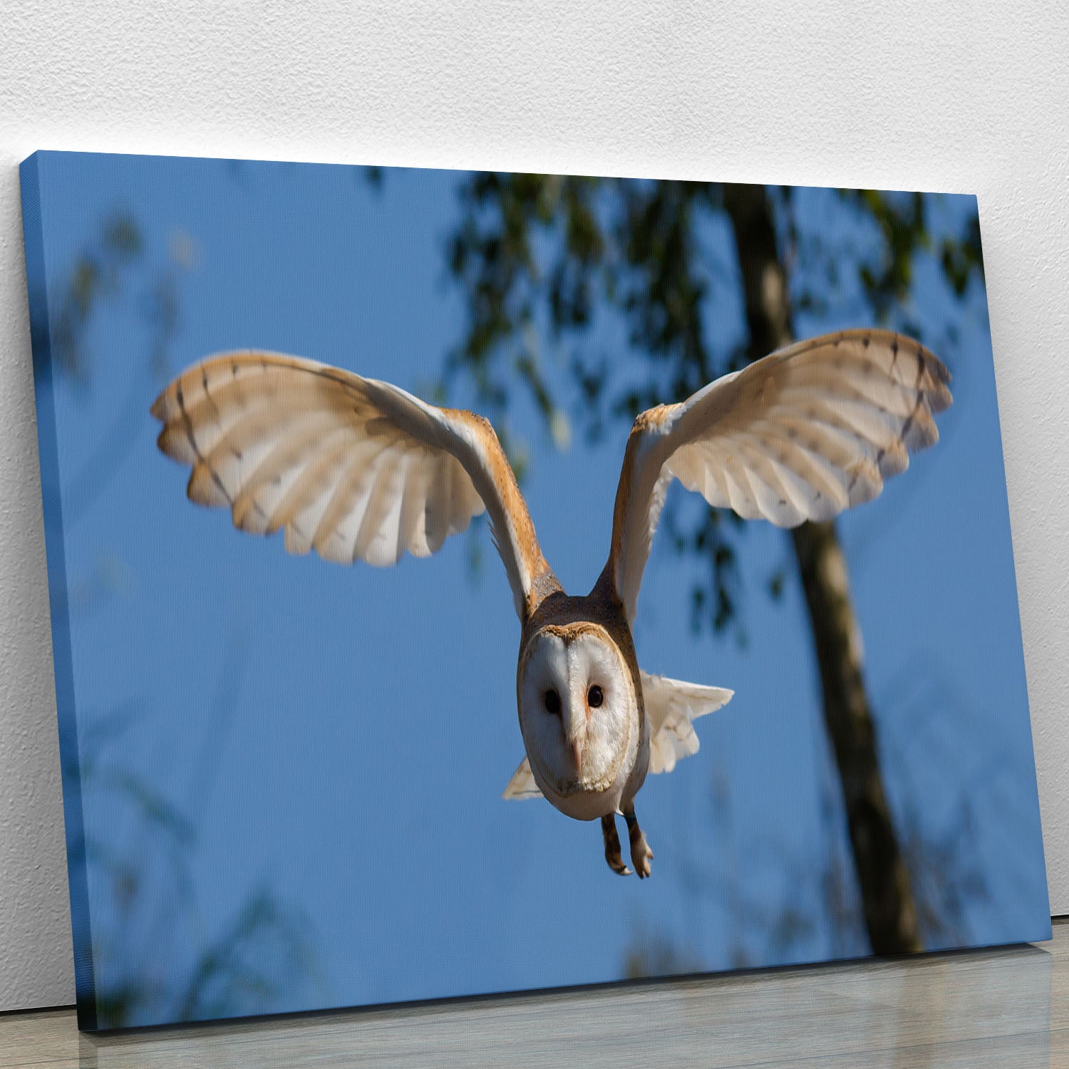 Barn Owl Canvas Print or Poster - Canvas Art Rocks - 1