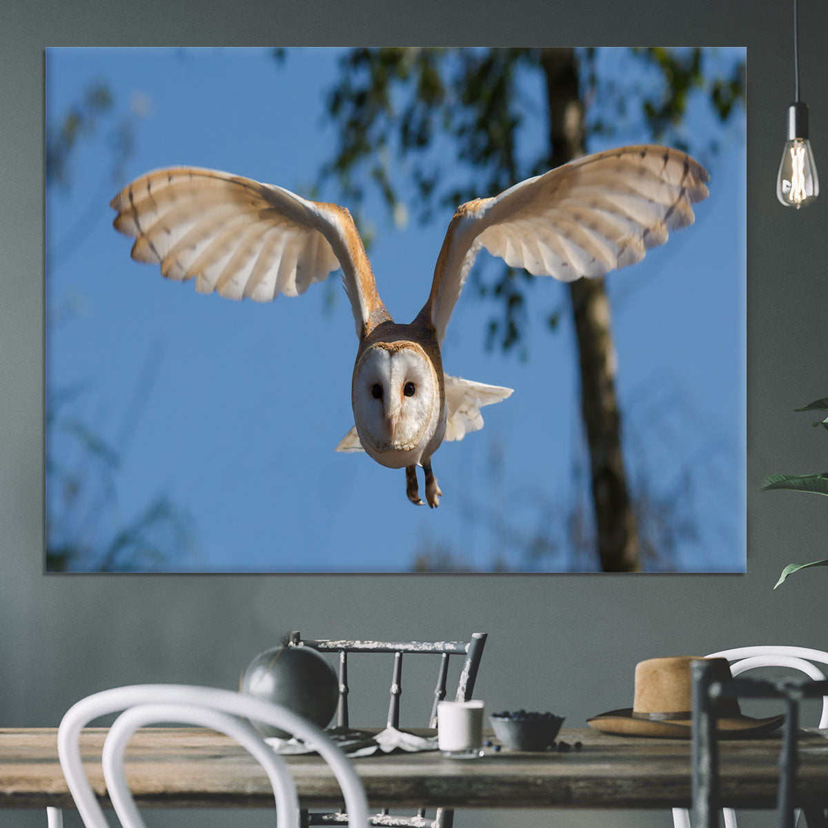 Barn Owl Canvas Print or Poster - Canvas Art Rocks - 3