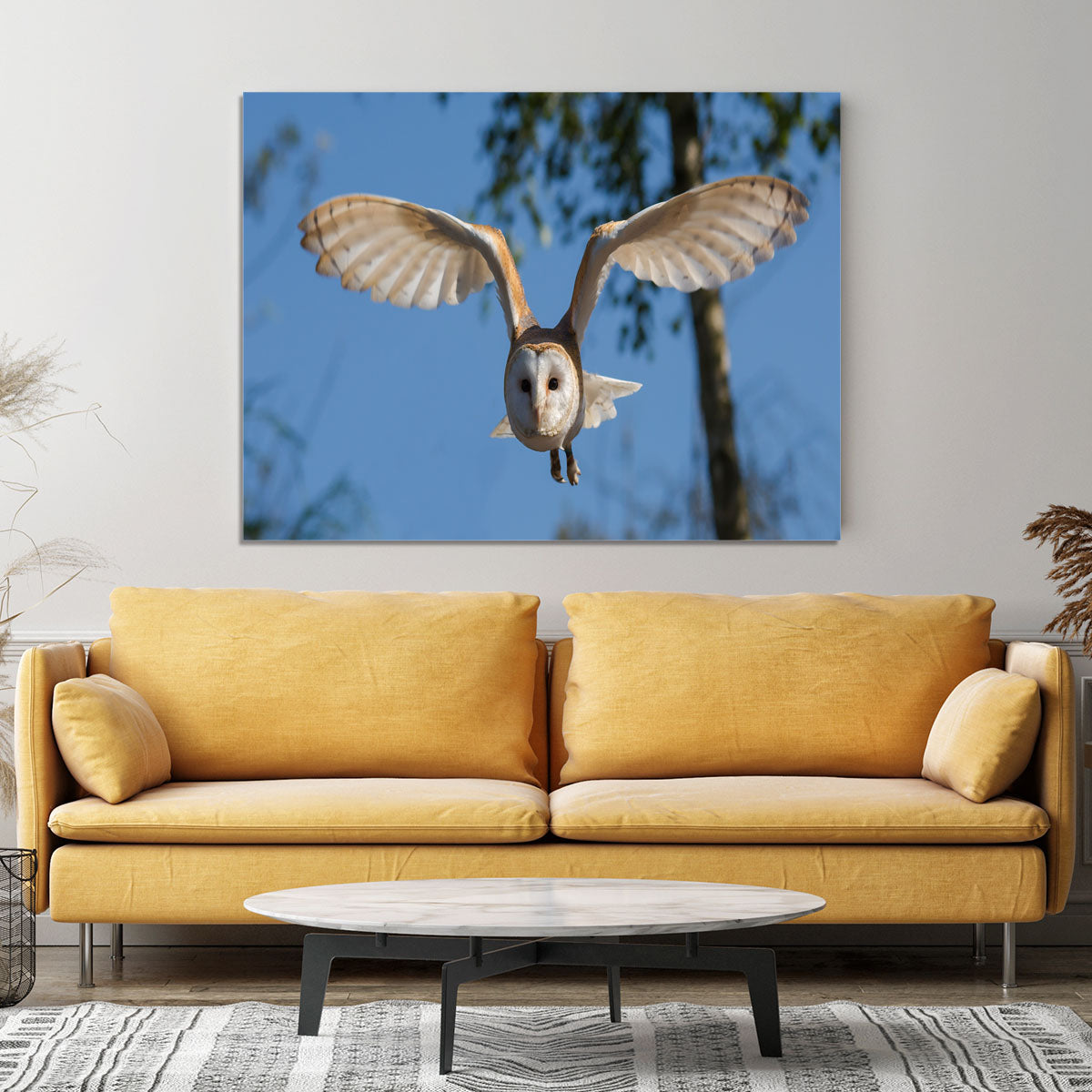 Barn Owl Canvas Print or Poster - Canvas Art Rocks - 4