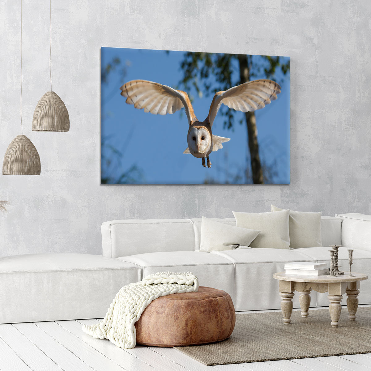 Barn Owl Canvas Print or Poster - Canvas Art Rocks - 6