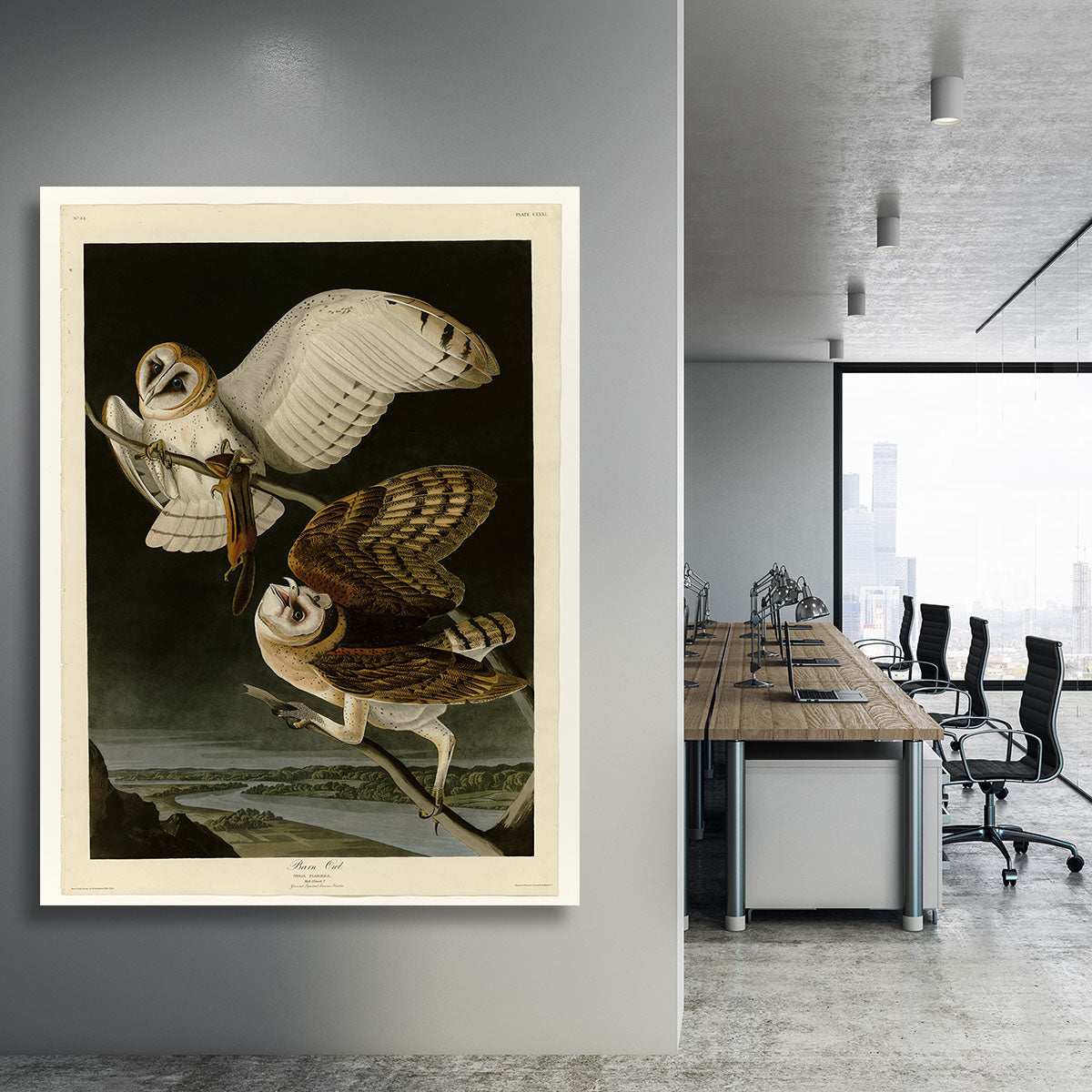 Barn Owl by Audubon Canvas Print or Poster - Canvas Art Rocks - 3