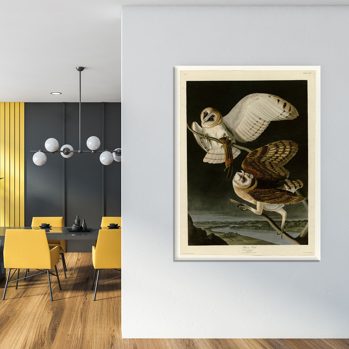 Barn Owl by Audubon Canvas Print or Poster - Canvas Art Rocks - 4