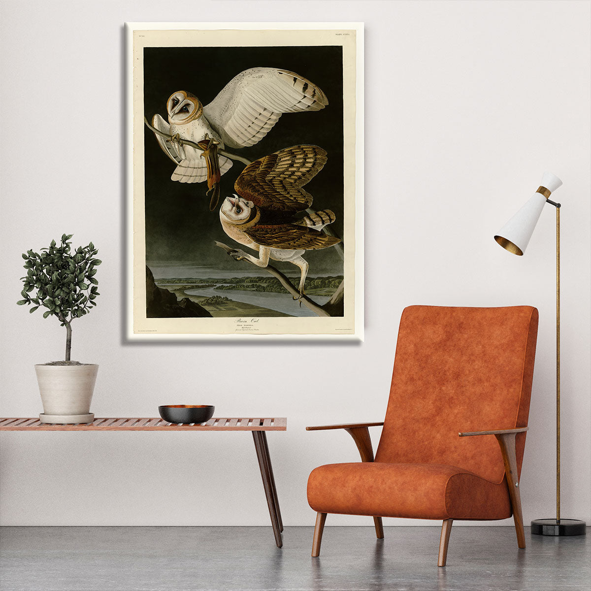 Barn Owl by Audubon Canvas Print or Poster - Canvas Art Rocks - 6