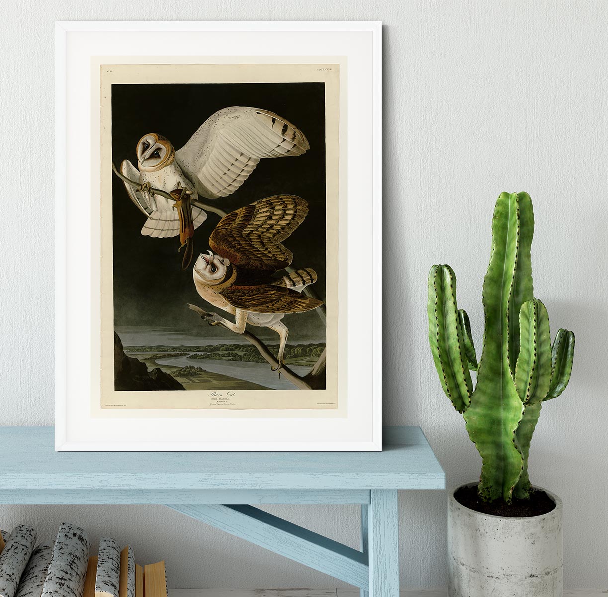 Barn Owl by Audubon Framed Print - Canvas Art Rocks - 5