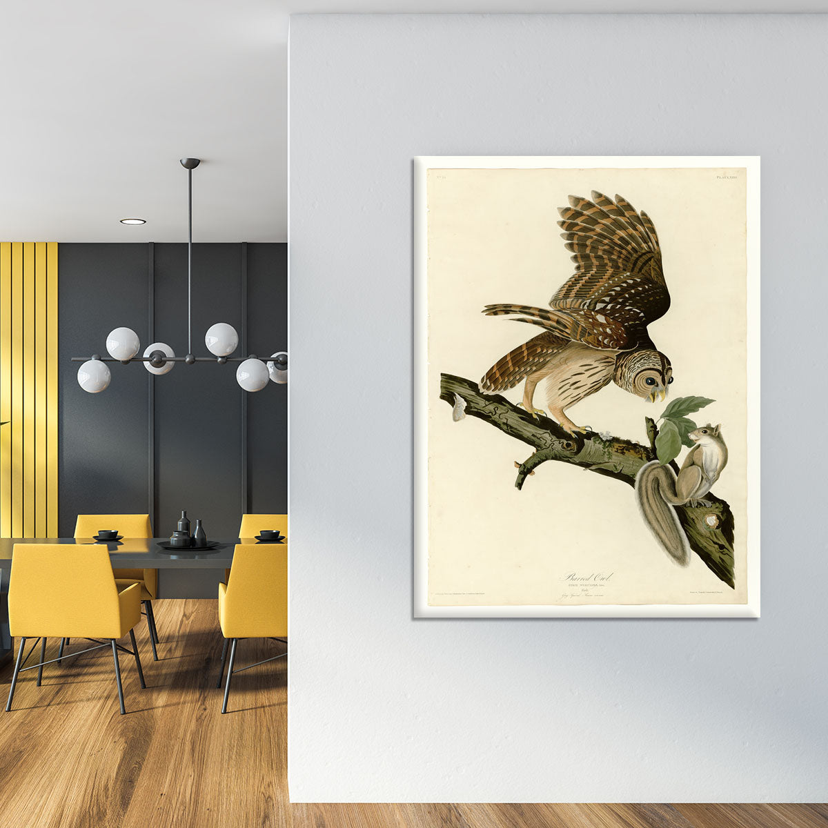 Barred Owl by Audubon Canvas Print or Poster - Canvas Art Rocks - 4