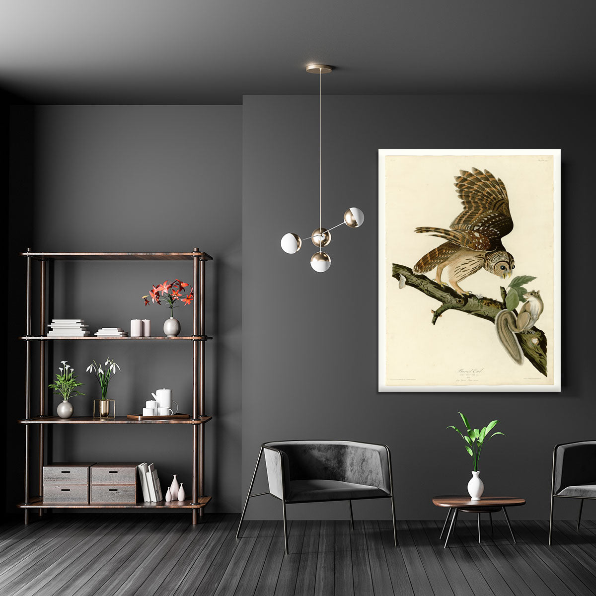 Barred Owl by Audubon Canvas Print or Poster - Canvas Art Rocks - 5