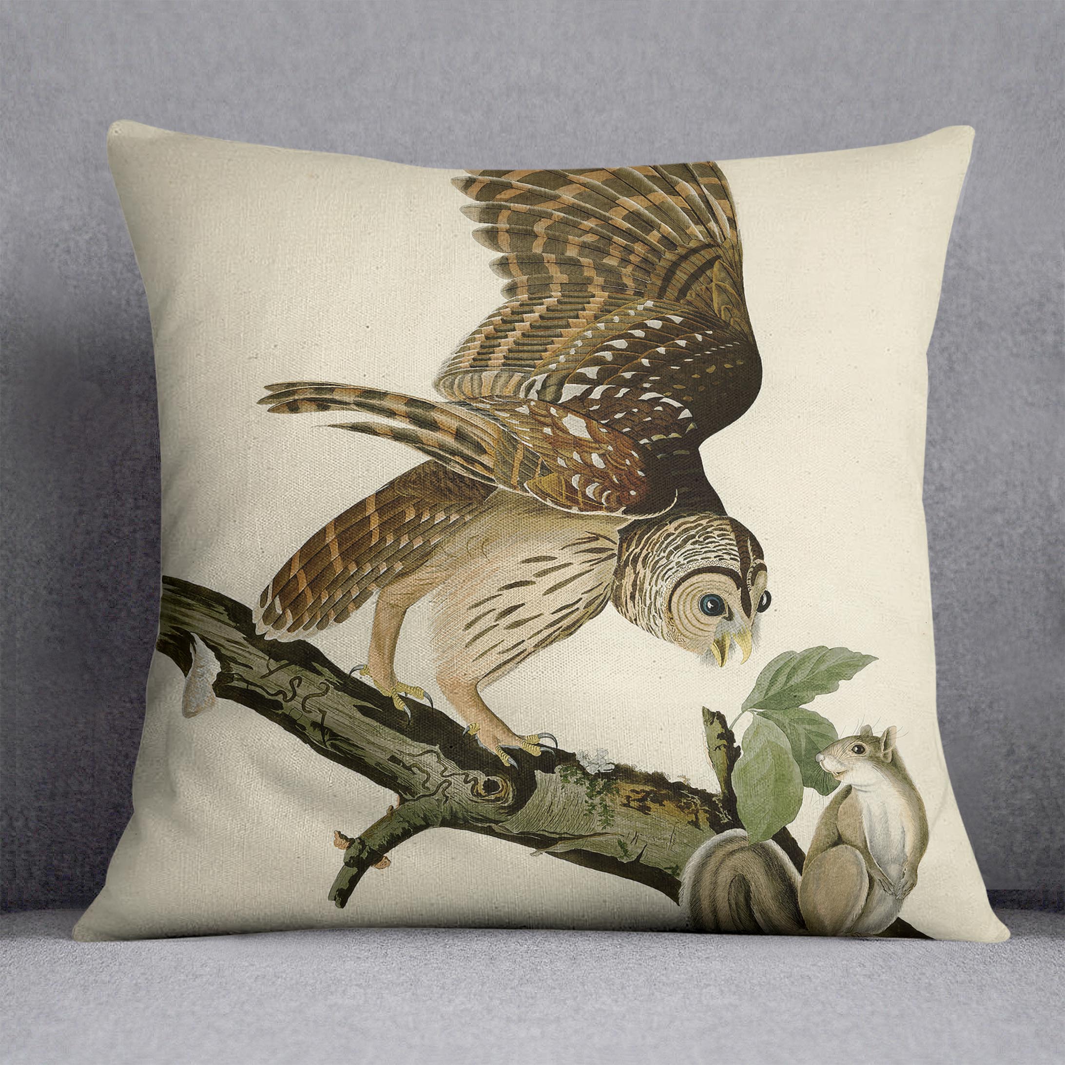 Barred Owl by Audubon Cushion