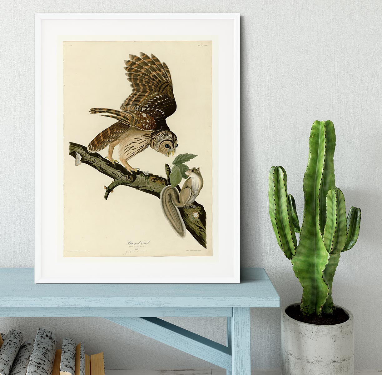 Barred Owl by Audubon Framed Print - Canvas Art Rocks - 5