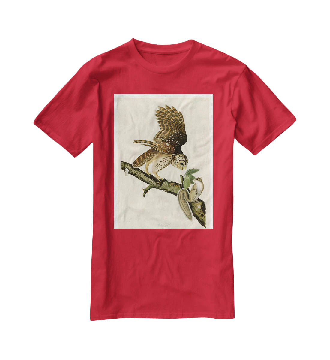 Barred Owl by Audubon T-Shirt - Canvas Art Rocks - 4