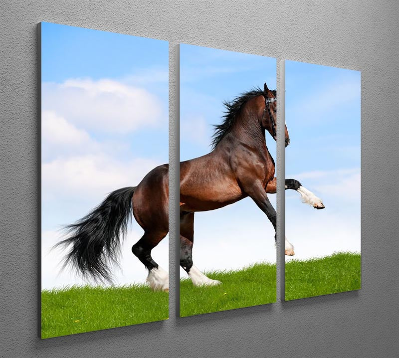 Bay horse running in field 3 Split Panel Canvas Print - Canvas Art Rocks - 2