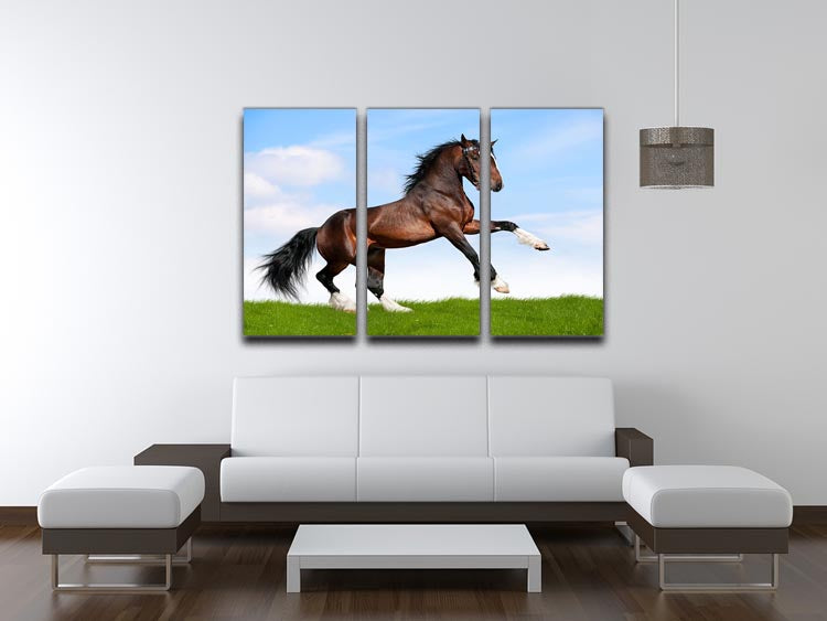 Bay horse running in field 3 Split Panel Canvas Print - Canvas Art Rocks - 3