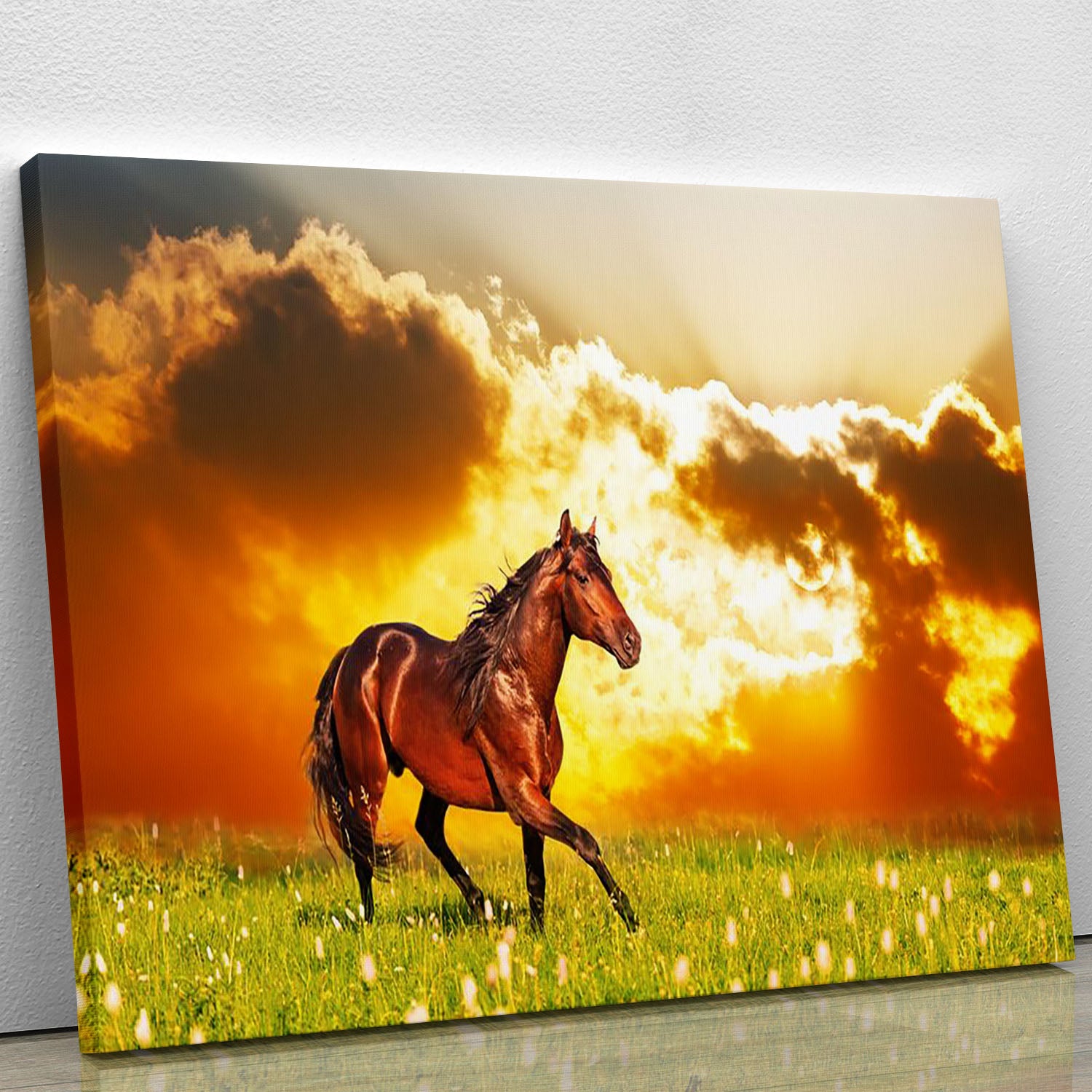 Bay horse skips on a meadow against a sunset Canvas Print or Poster - Canvas Art Rocks - 1