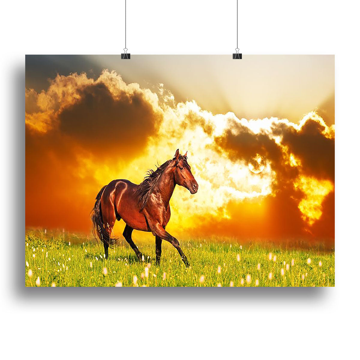 Bay horse skips on a meadow against a sunset Canvas Print or Poster - Canvas Art Rocks - 2