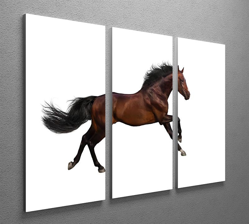 Bay stallion run 3 Split Panel Canvas Print - Canvas Art Rocks - 2