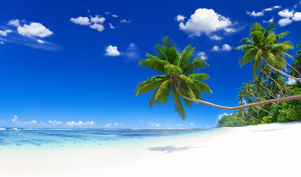 Beach Wall Mural Wallpaper - Canvas Art Rocks - 1