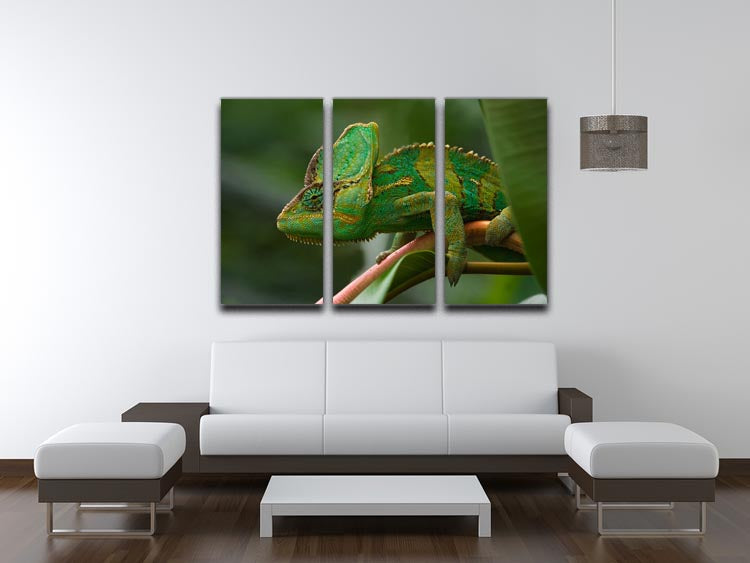 Beaitiful green Jemen chameleon 3 Split Panel Canvas Print - Canvas Art Rocks - 3