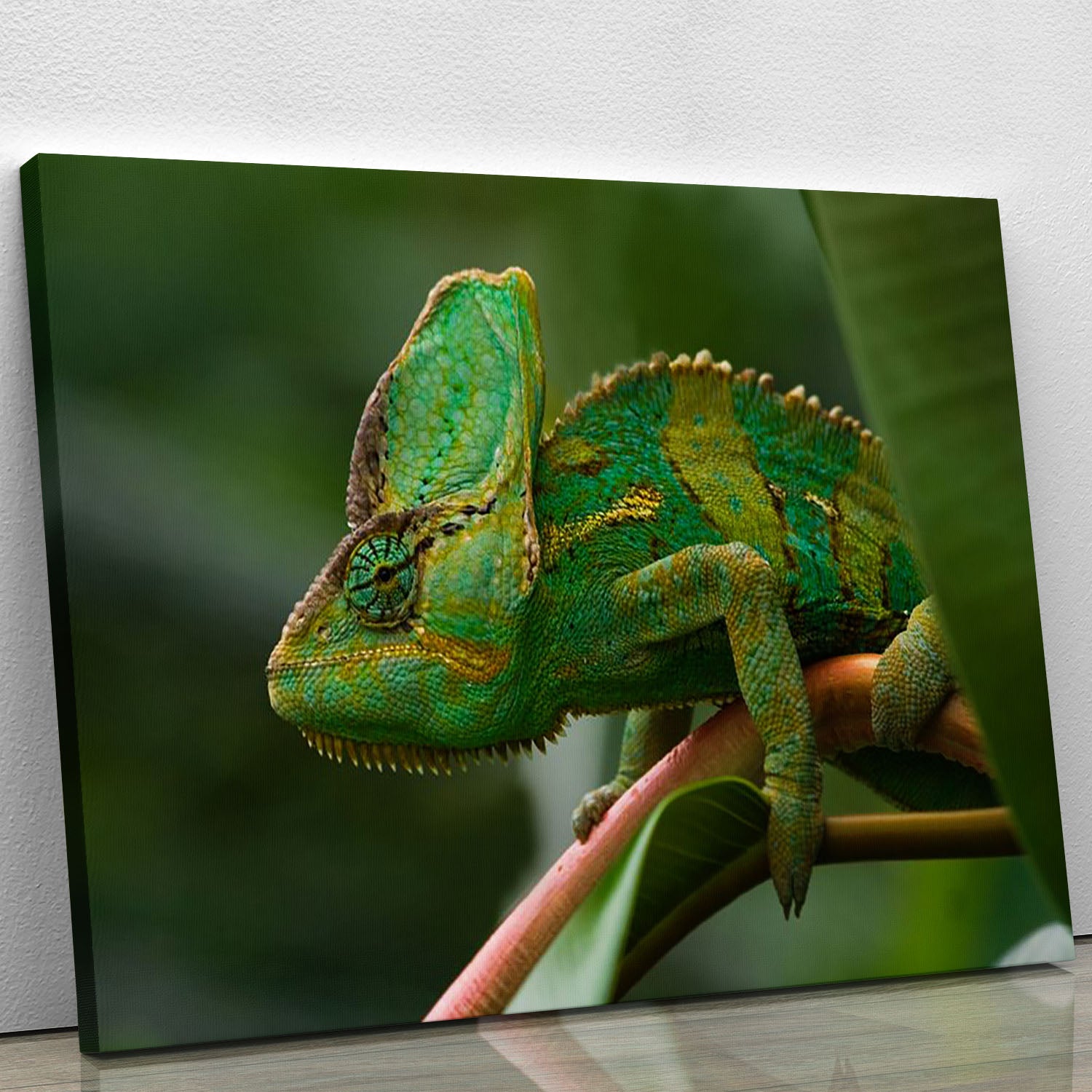 Beaitiful green Jemen chameleon Canvas Print or Poster - Canvas Art Rocks - 1