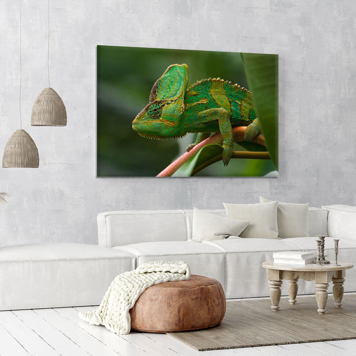 Beaitiful green Jemen chameleon Canvas Print or Poster - Canvas Art Rocks - 6