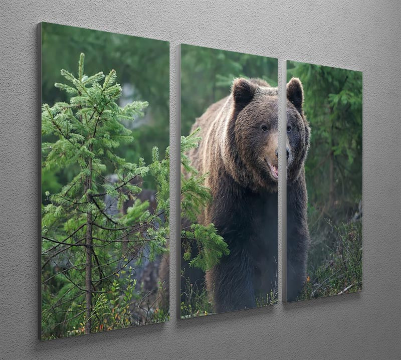 Bear in forest 3 Split Panel Canvas Print - Canvas Art Rocks - 2