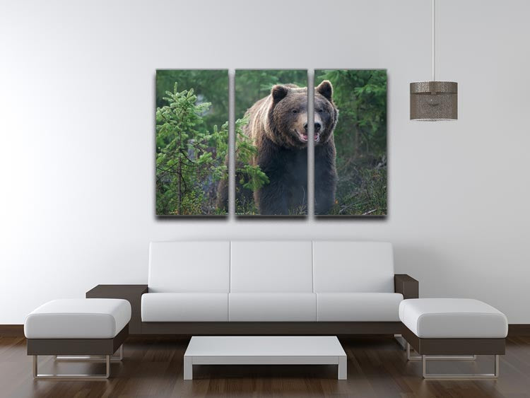 Bear in forest 3 Split Panel Canvas Print - Canvas Art Rocks - 3