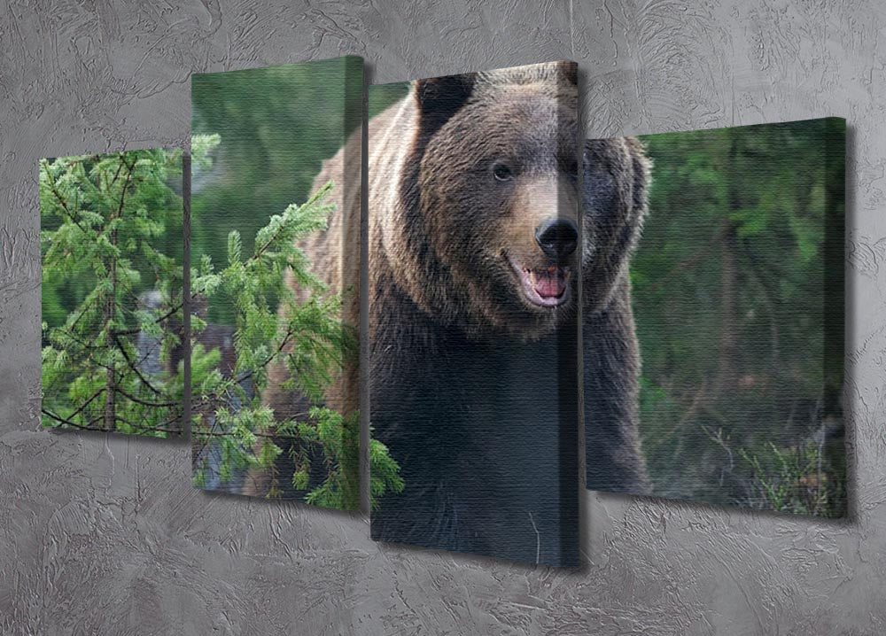 Bear in forest 4 Split Panel Canvas - Canvas Art Rocks - 2