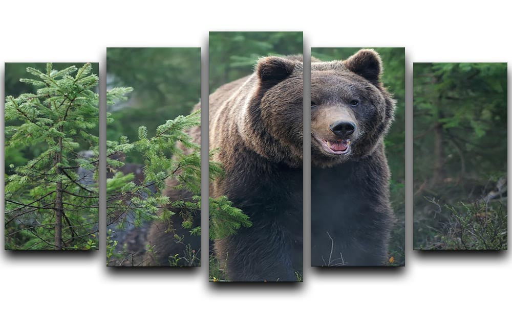 Bear in forest 5 Split Panel Canvas - Canvas Art Rocks - 1