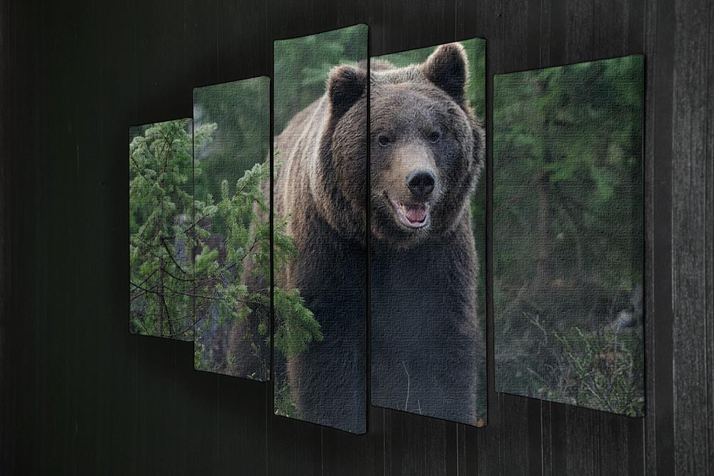 Bear in forest 5 Split Panel Canvas - Canvas Art Rocks - 2
