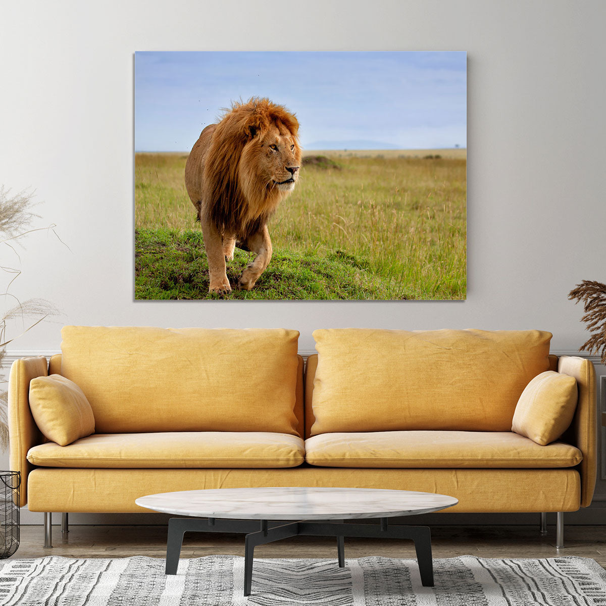 Beautiful Lion Long in Masai Mara Canvas Print or Poster - Canvas Art Rocks - 4