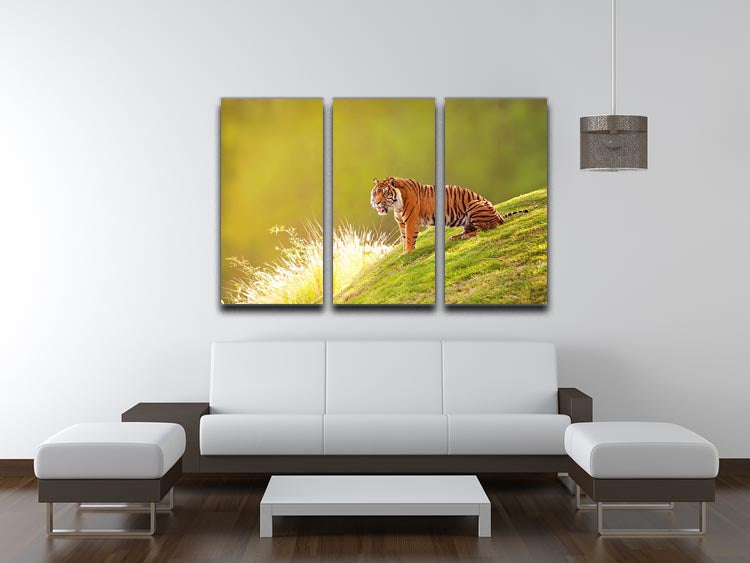 Beautiful Sumatran Tiger 3 Split Panel Canvas Print - Canvas Art Rocks - 3