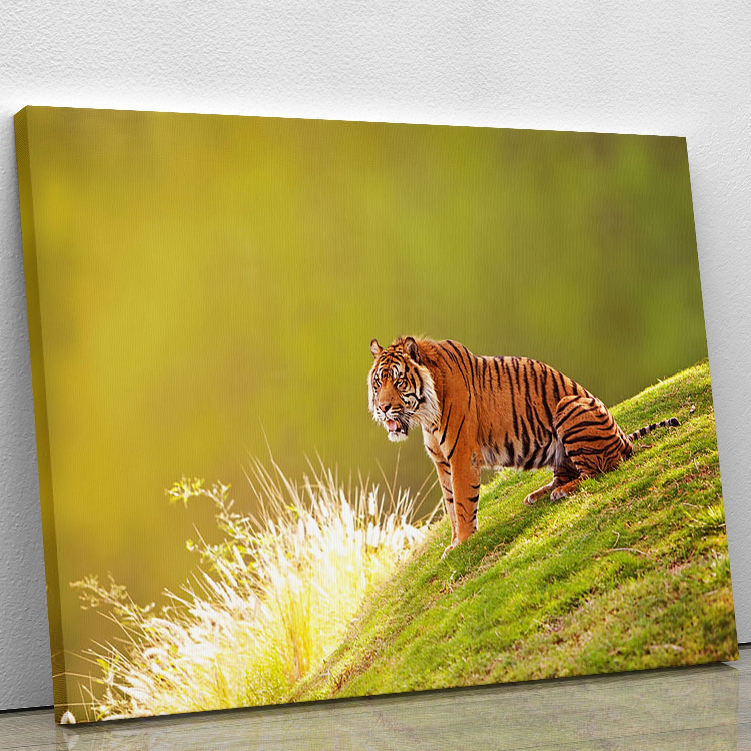 Beautiful Sumatran Tiger Canvas Print or Poster - Canvas Art Rocks - 1