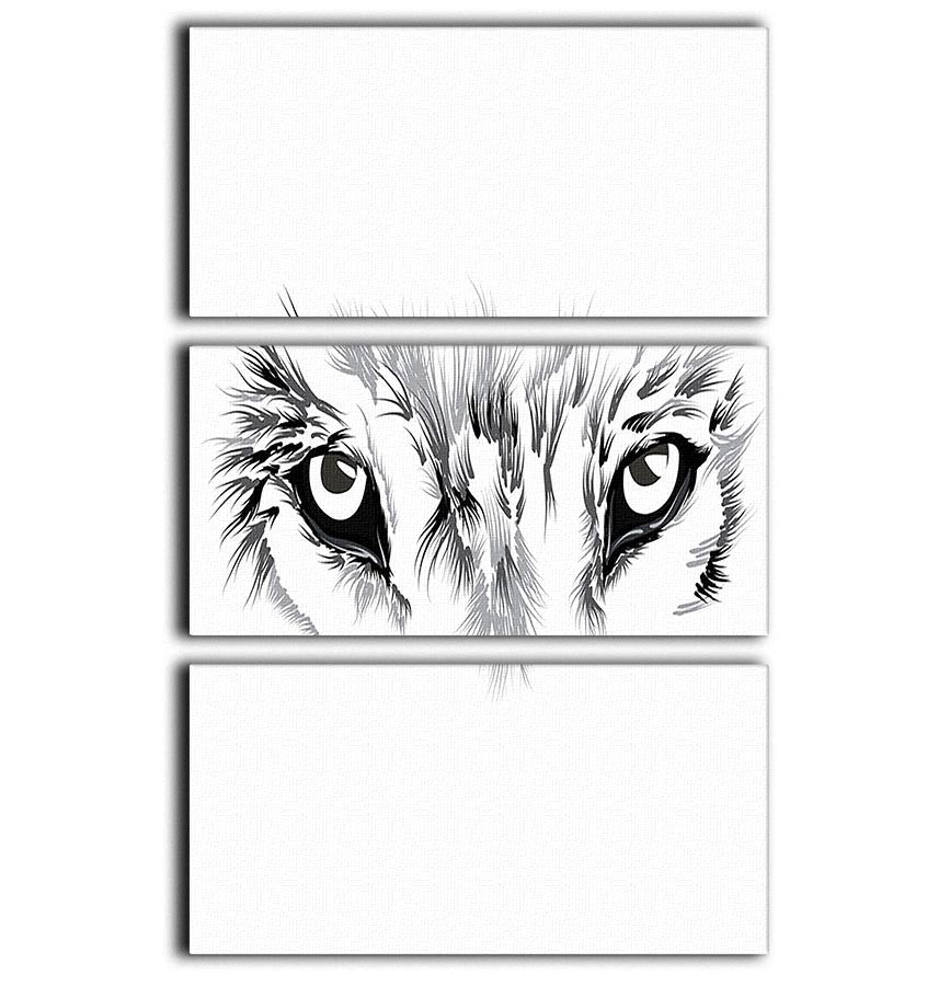 Beautiful Wolf face illustration 3 Split Panel Canvas Print - Canvas Art Rocks - 1