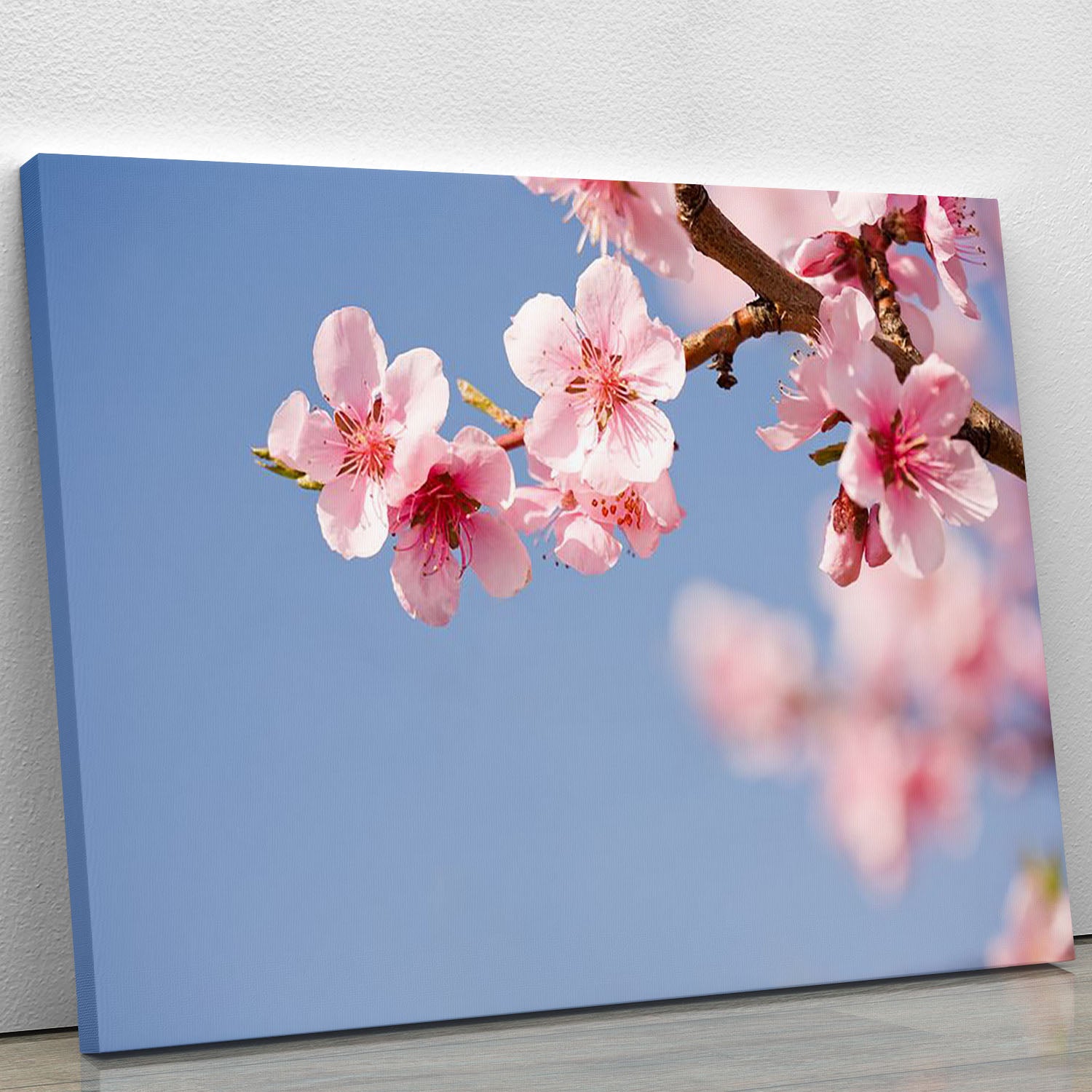 Beautiful colorful fresh spring flowers Canvas Print or Poster - Canvas Art Rocks - 1