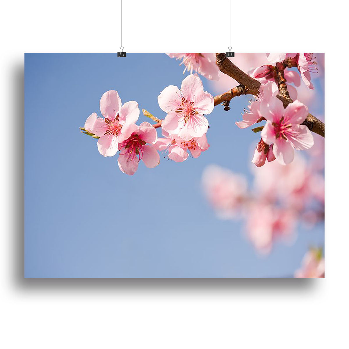 Beautiful colorful fresh spring flowers Canvas Print or Poster - Canvas Art Rocks - 2