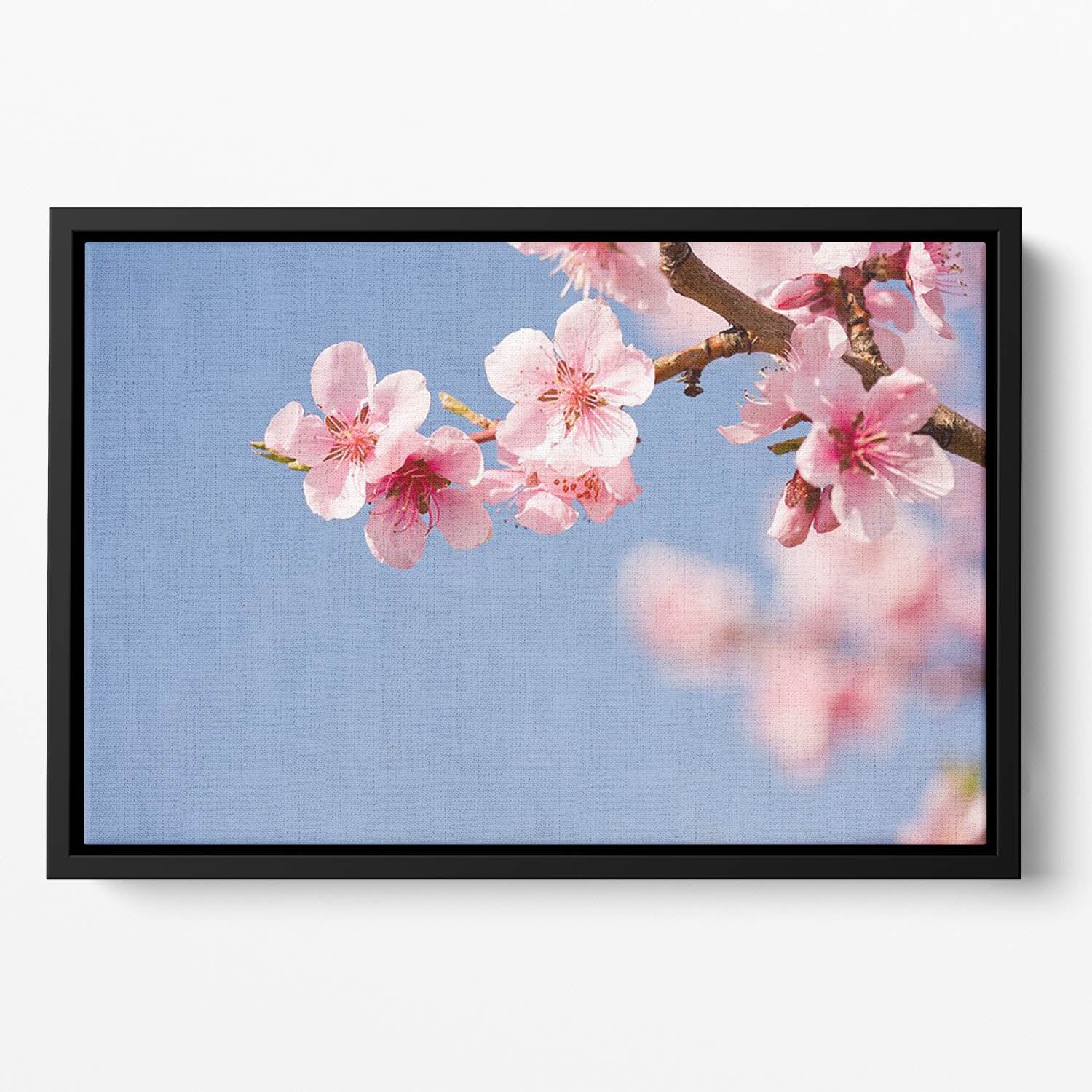 Beautiful colorful fresh spring flowers Floating Framed Canvas