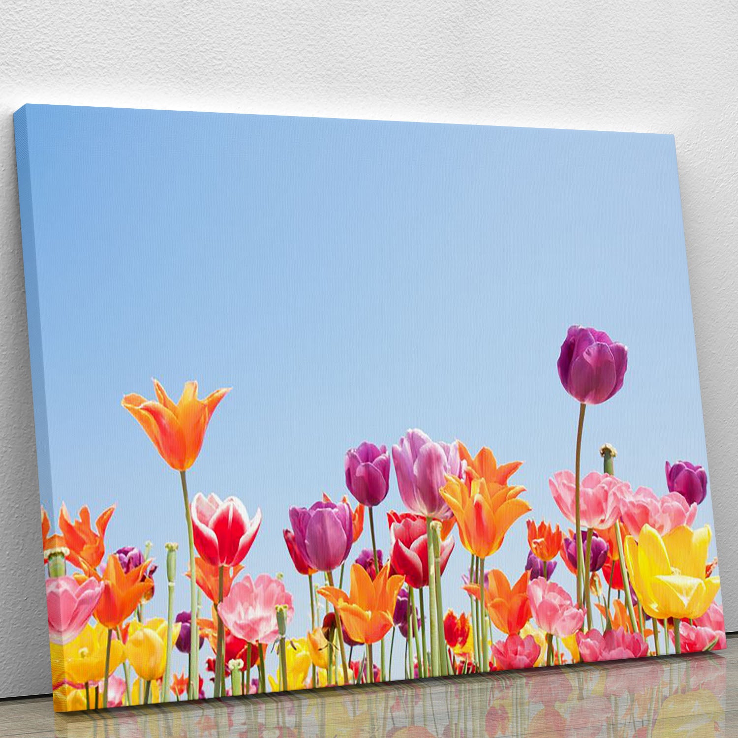 Beautiful coloured flowers Canvas Print or Poster - Canvas Art Rocks - 1