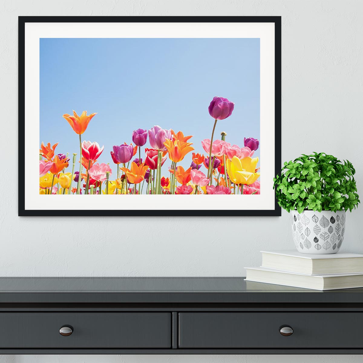 Beautiful coloured flowers Framed Print - Canvas Art Rocks - 1