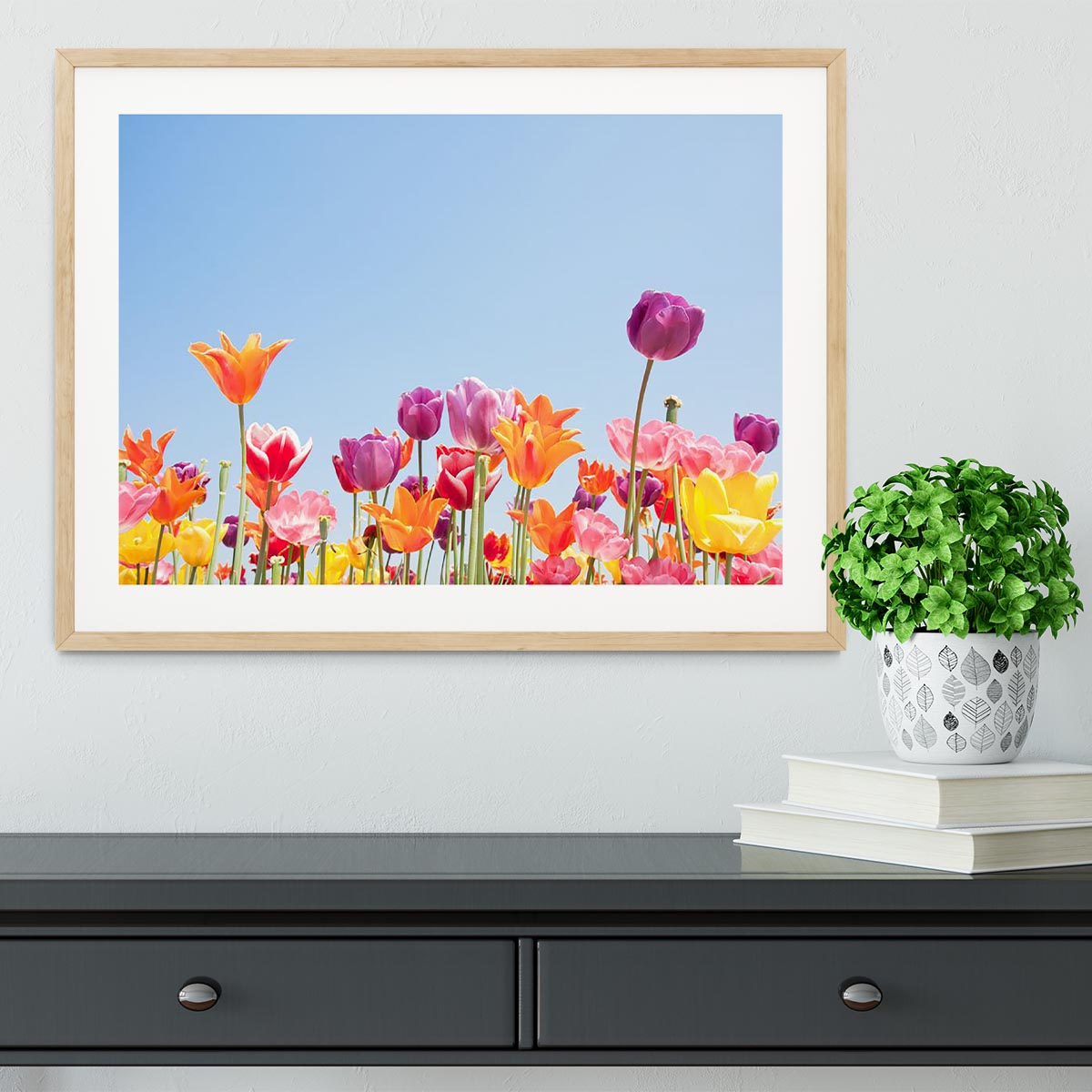 Beautiful coloured flowers Framed Print - Canvas Art Rocks - 3