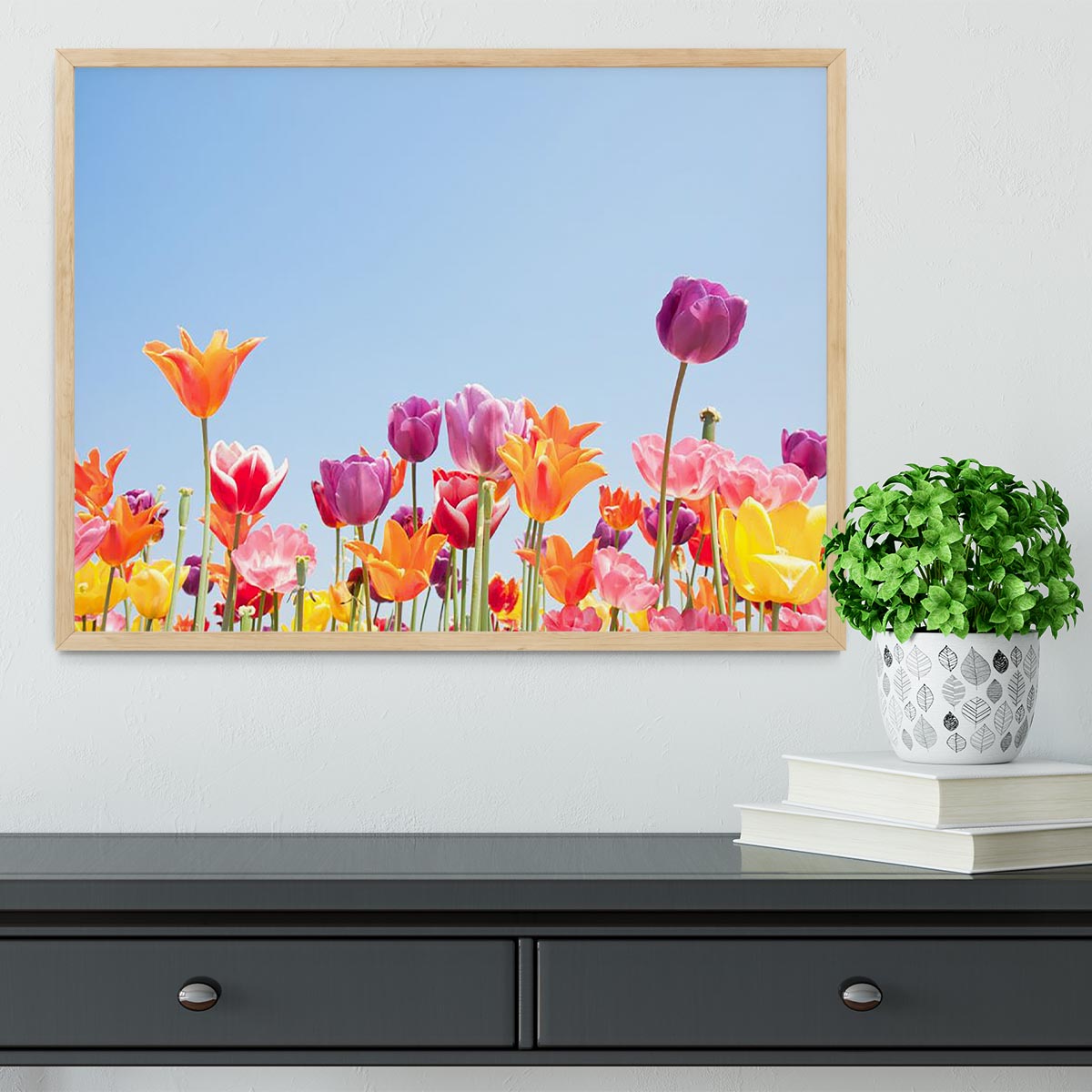 Beautiful coloured flowers Framed Print - Canvas Art Rocks - 4