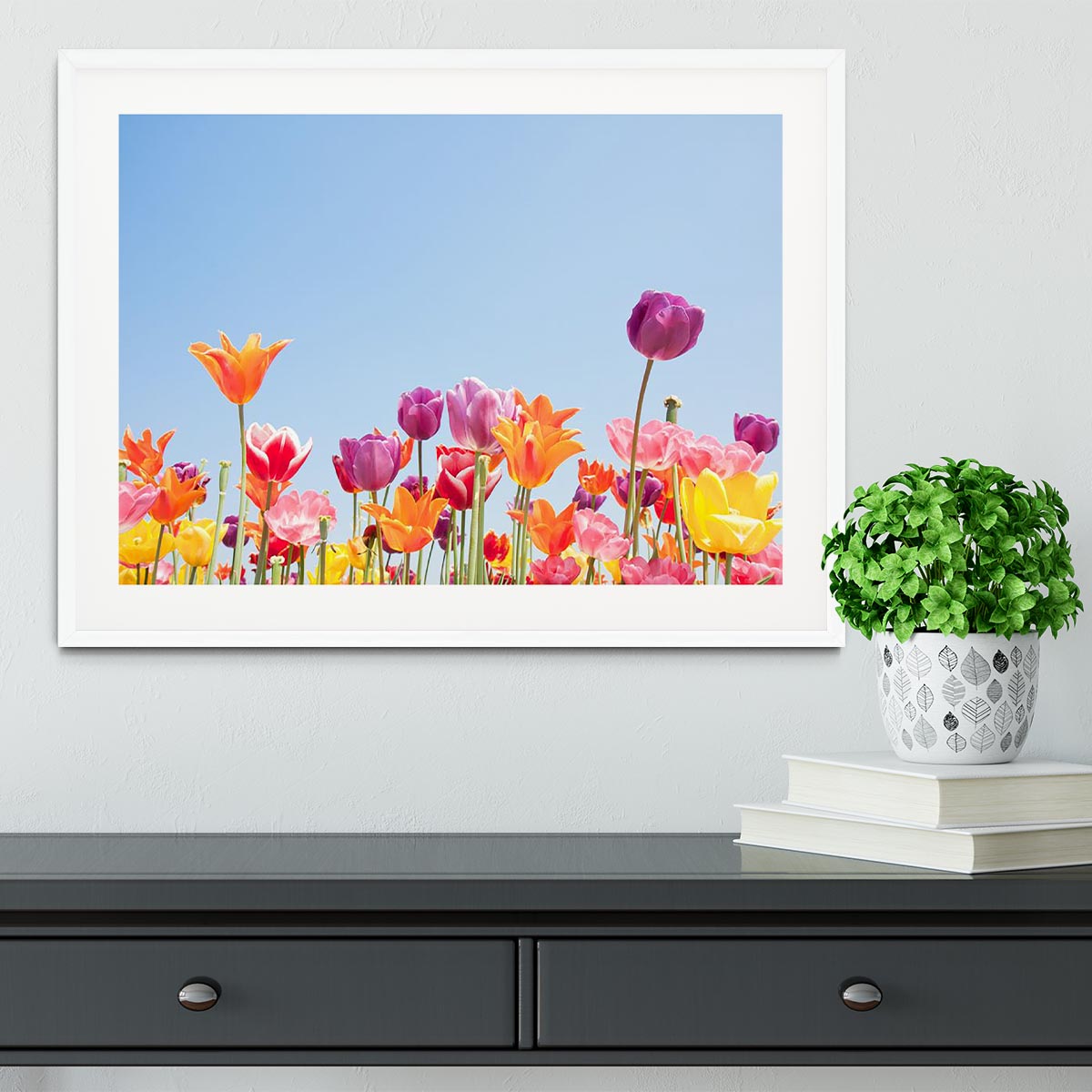 Beautiful coloured flowers Framed Print - Canvas Art Rocks - 5