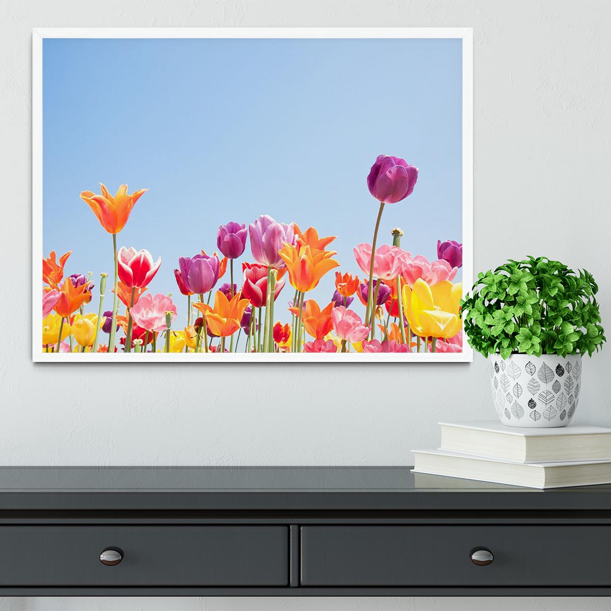 Beautiful coloured flowers Framed Print - Canvas Art Rocks -6